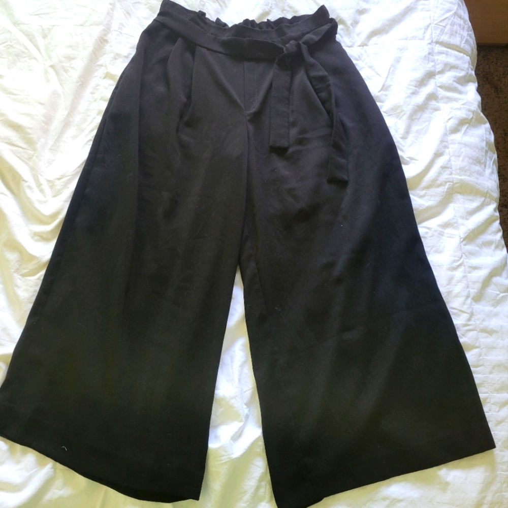 Zara Trafaluc Elastic Paperbag Waist Wide Leg Ankle/Cropped pants (M)